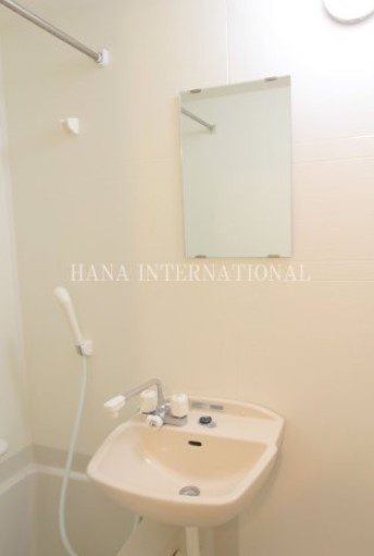 レオパレス大楽寺Ⅱの洗面所