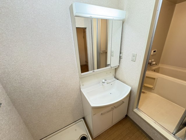 ドミール北国分の独立洗面台