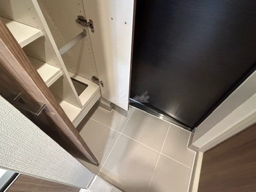 【玄関】ディアレイシャス横浜吉野町