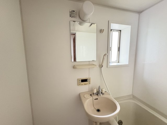 メゾンシルフィードの洗面所