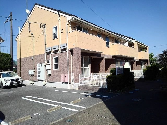 プリムローズ　Ｃ