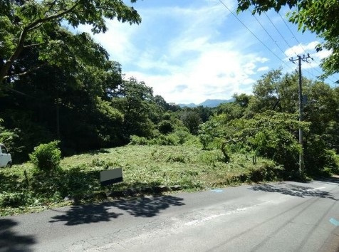 【外観】 | 伊豆急伊豆高原　売地
