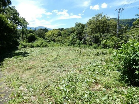 【外観】 | 伊豆急伊豆高原　売地