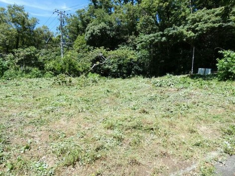 【外観】 | 伊豆急伊豆高原　売地