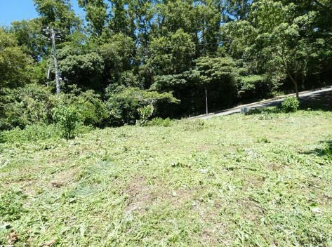 【周辺】 | 伊豆急伊豆高原　売地