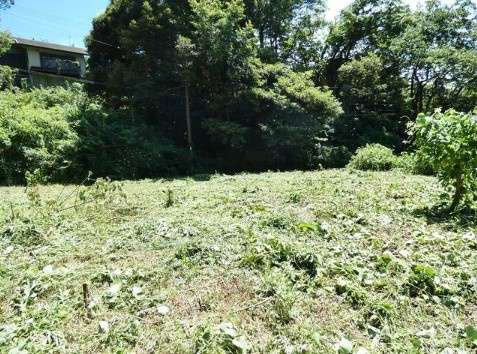 【外観】 | 伊豆急伊豆高原　売地