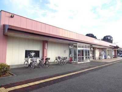 【周辺】 | ラペ