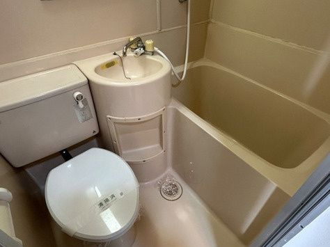 エスペラントイケダの洗面所