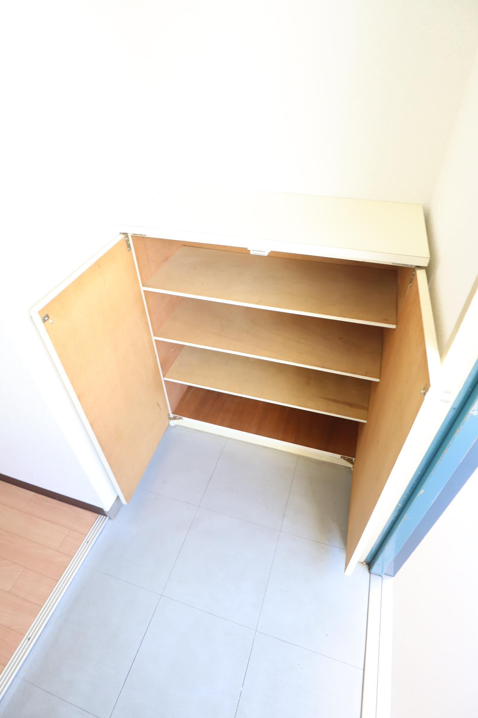 大阪市城東区天王田の賃貸マンションの玄関