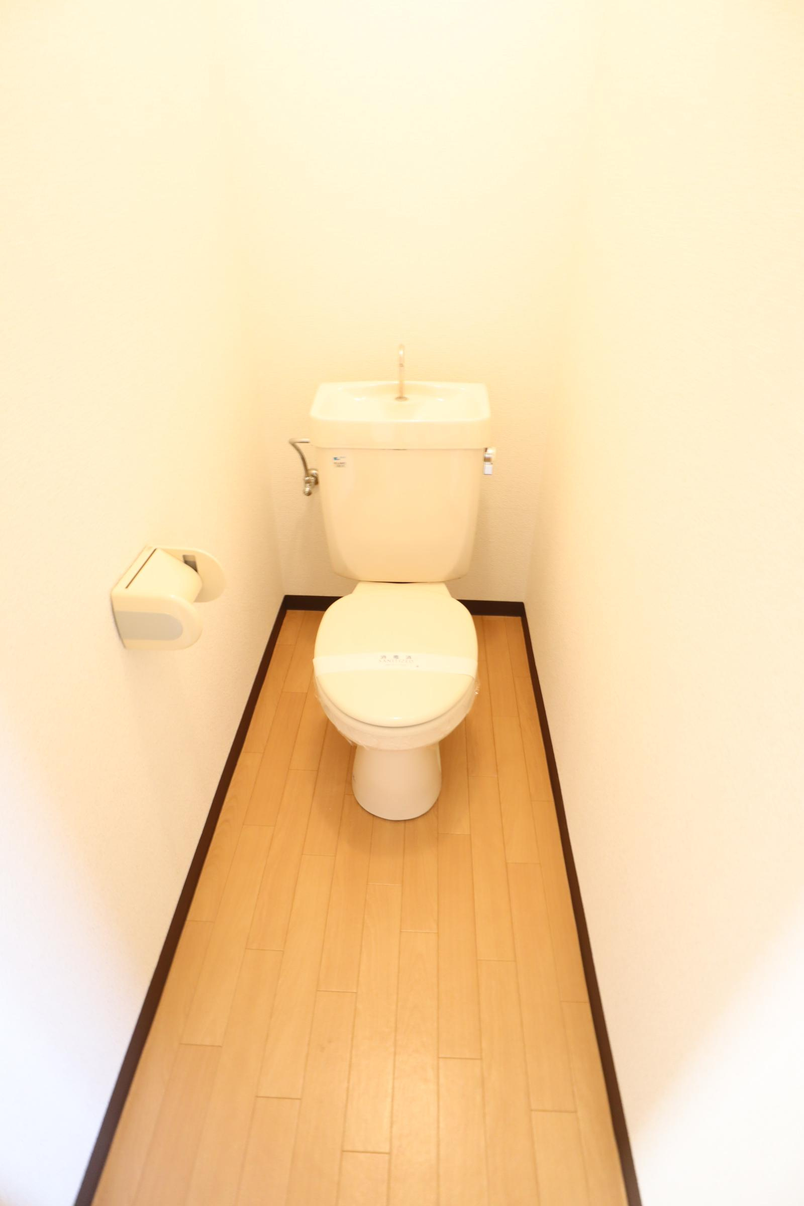 大阪市城東区天王田の賃貸マンションのトイレ