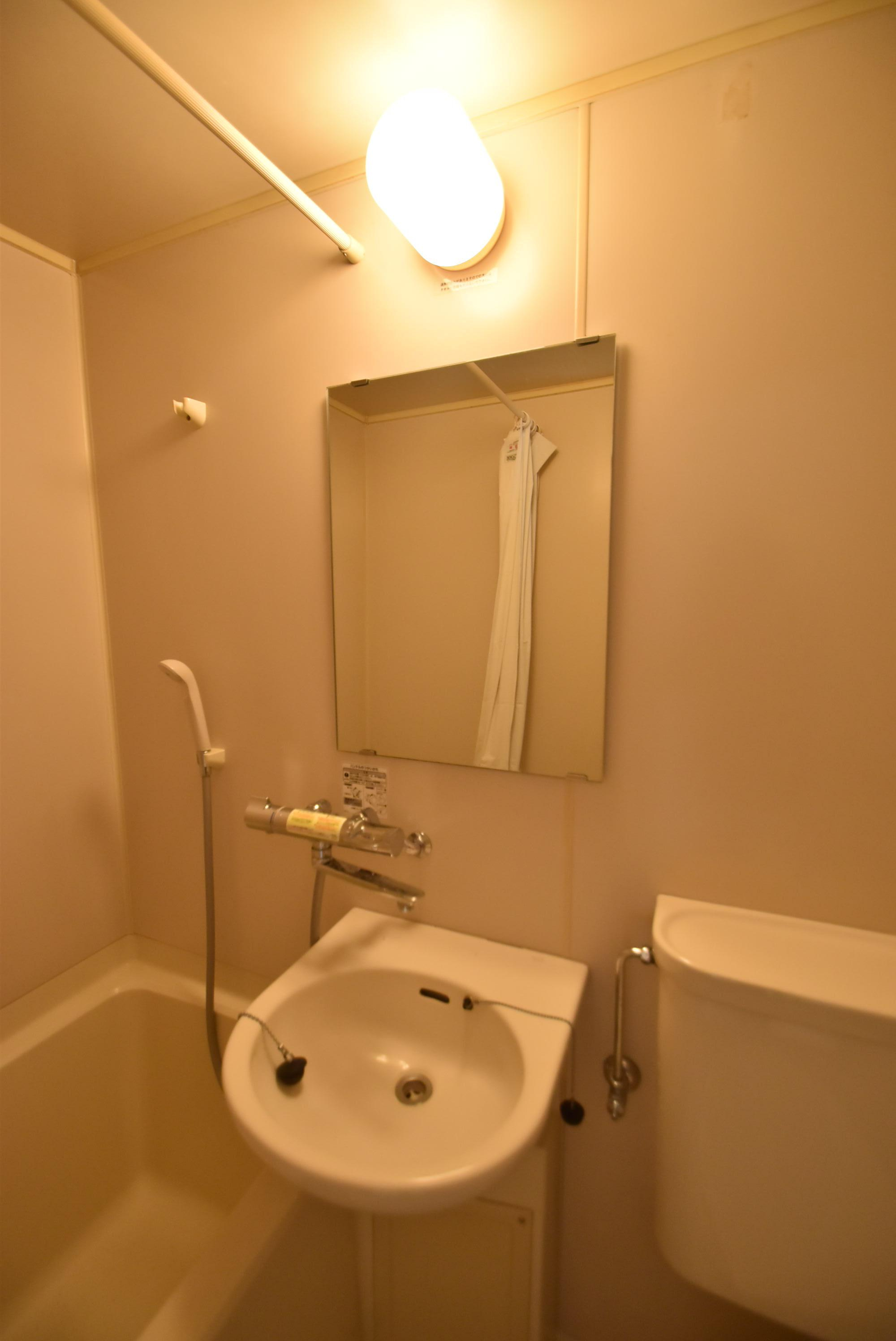 大阪市城東区成育２丁目の賃貸マンションの洗面所