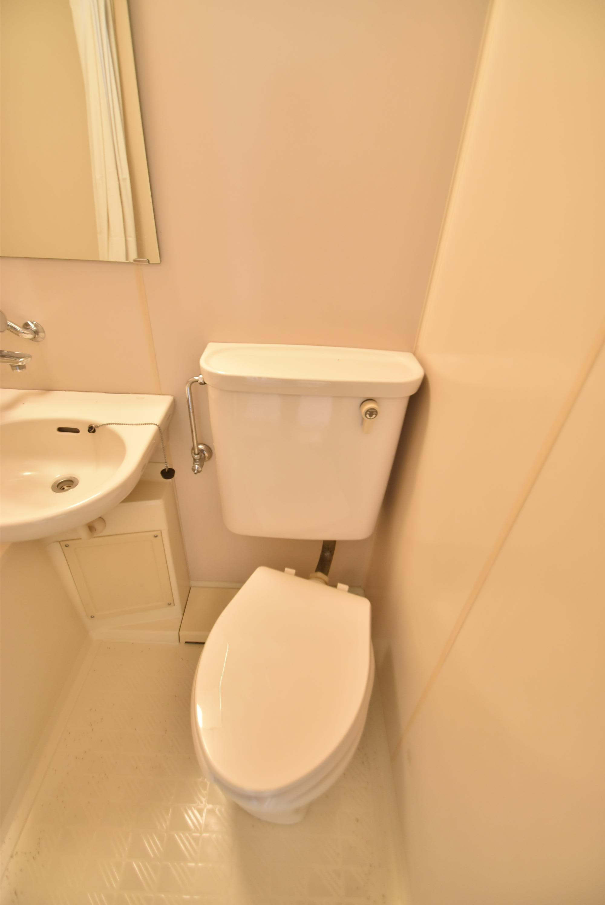 大阪市城東区成育２丁目の賃貸マンションのトイレ