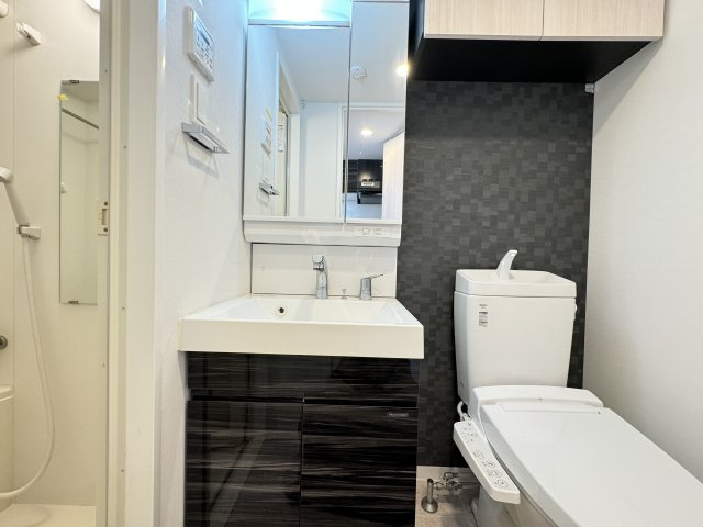 S-RESIDENCE松戸beneの洗面所
