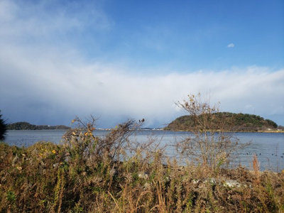 【展望】 | 鳥取市良田 土地