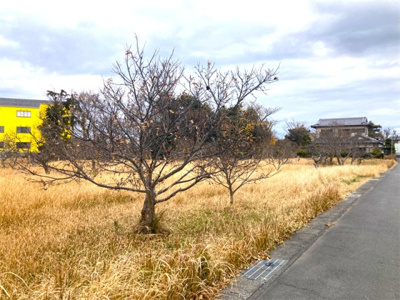 【外観】 | 神立東二丁目T貸地