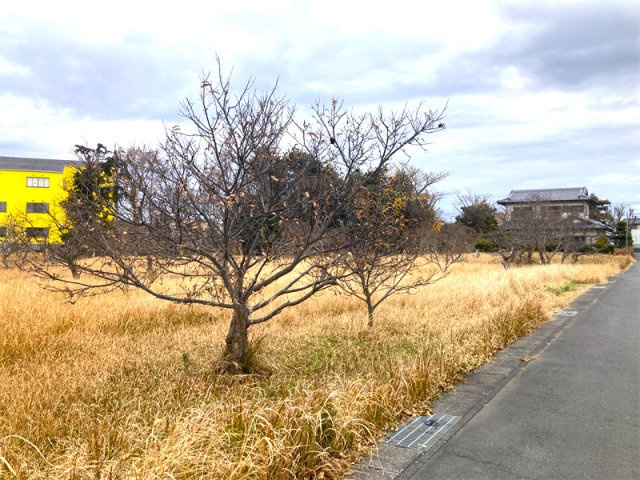 【外観】 | 神立東二丁目T貸地
