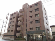 パロリブルの画像