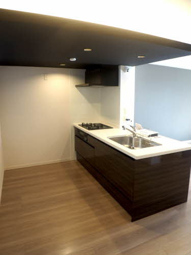 熊本市中央区水前寺６丁目の賃貸マンションのキッチン