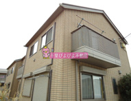 スリーグレイスの画像