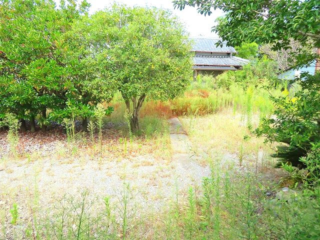 南国市国分 売土地の外観