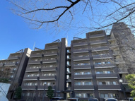 志木ニュータウンガーデンプラザ参番館の画像