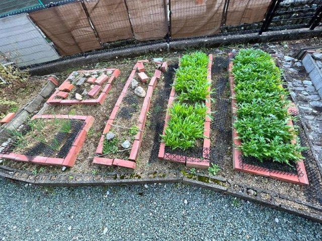 高知市深谷町　中古戸建ての庭