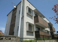 シダークレストの画像