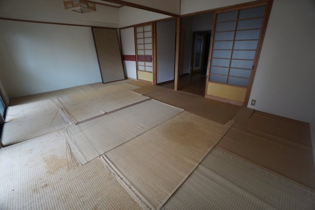 アーバンハイツ大橋の居間・リビング