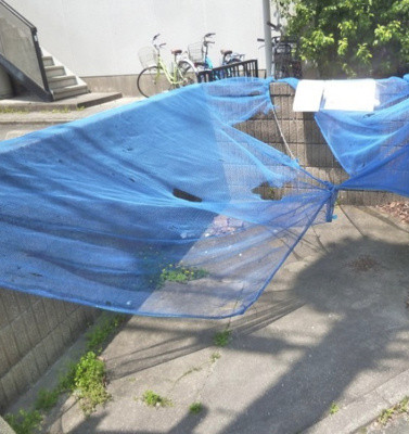 【その他共用部分】 | セフィラ南B棟