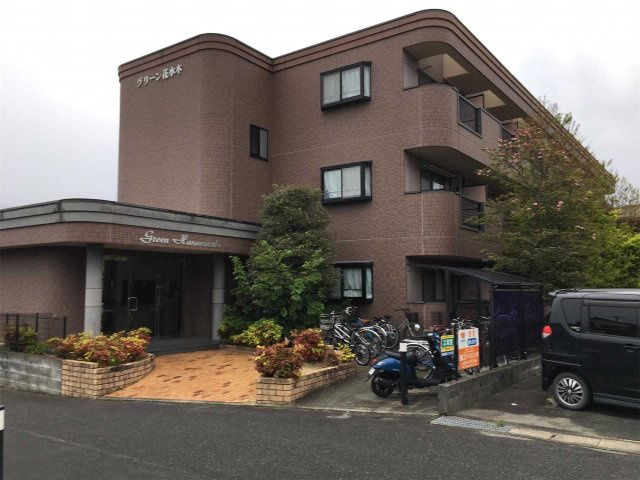 グリーン花水木