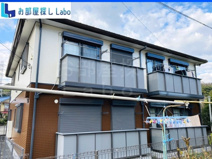 アドニスⅡの画像