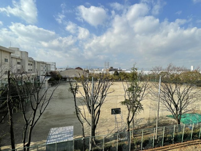 【展望】 | プリムール