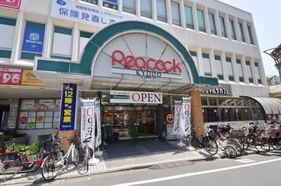 【周辺】 | プレミア経堂