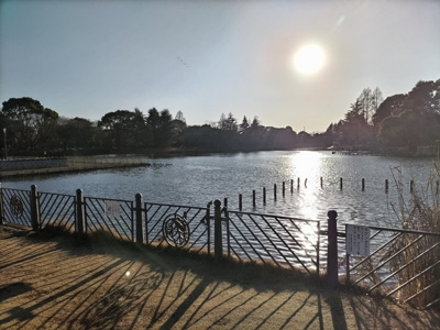 公園