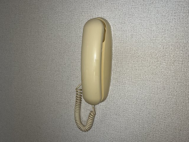 ピュールメゾンのその他