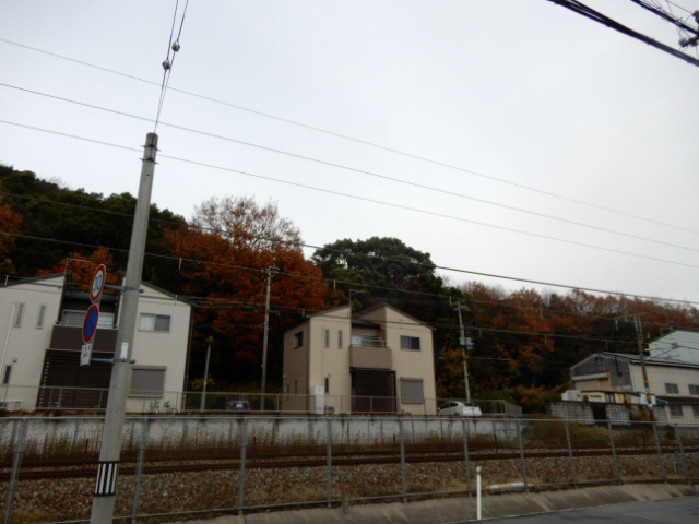 エーデルⅡの展望