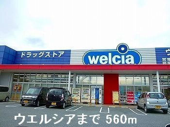 エーデルⅡの周辺|ウェルシアまで560m