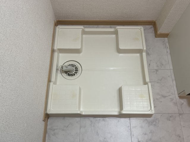 アグネスのその他