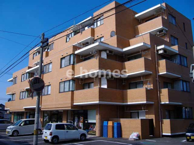 【外観】 | 森の木ハイツ