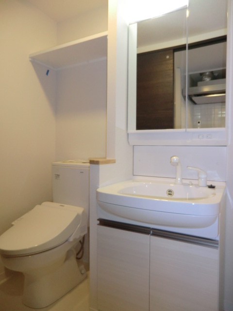 大阪市淀川区田川３丁目の賃貸マンションの洗面所