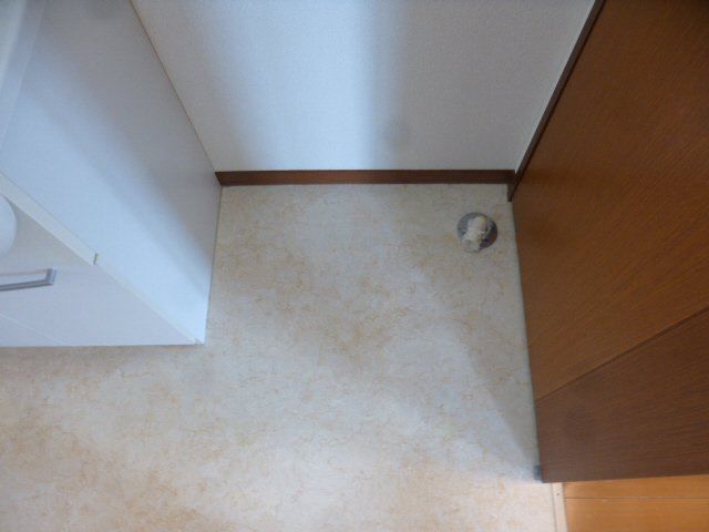 ココナッツハウスⅡのその他