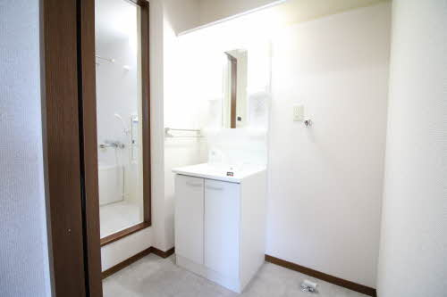 ハピネスB棟の洗面所