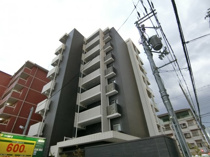 エストヴァリ千扇の画像