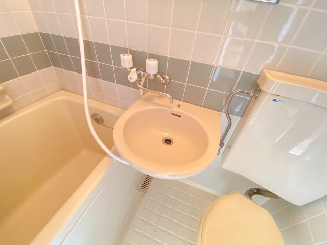 狭山ハイツの洗面所