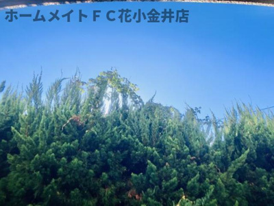 【展望】 | コーポ栗林