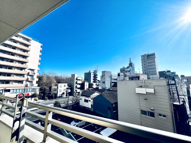 ライオンズステージ亀戸中央公園の展望