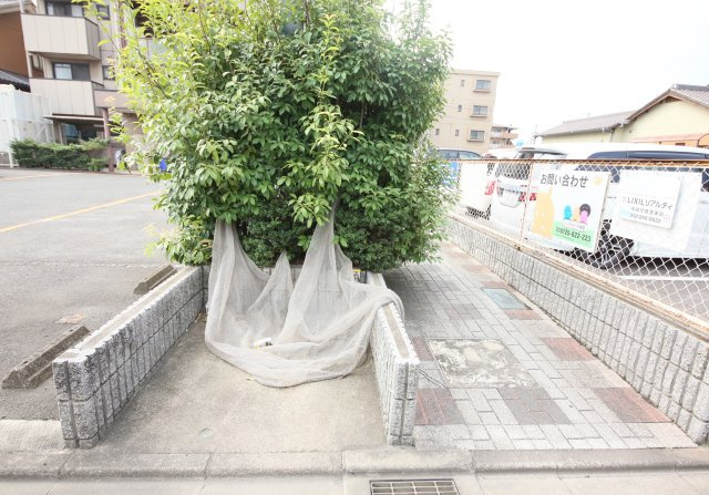 サンライズ・タケソウのその他