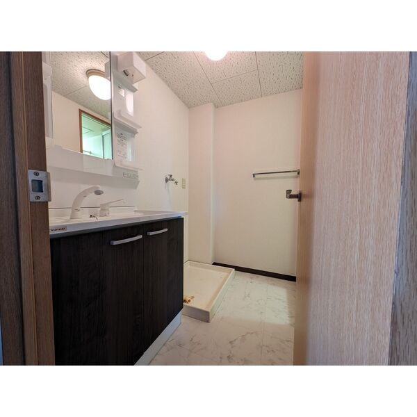 サンライズ・タケソウの洗面所