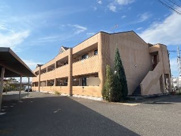 ペニーレインの画像