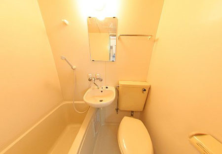 メゾンドアムの洗面所|スペースが確保できる洗面所です